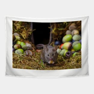 Wild  cute garden mouse Tapestry