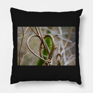 Heart woven in a tree, Henrhyd Falls, Wales Pillow