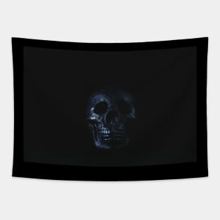 Black Skull Tapestry