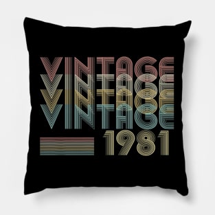 38th Birthday Gift Vintage 1981 Classic Men Women Pillow