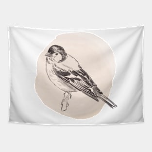 Hand drawn illustration of chaffinch bird Tapestry