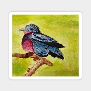 Lovely Cotinga bird watercolour painting Magnet