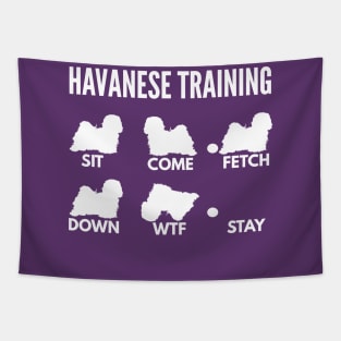 Havanese Training Havanese Dog Tricks Tapestry