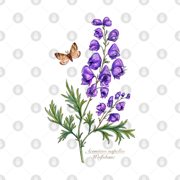 Monkshood garden flowers by Sitenkova