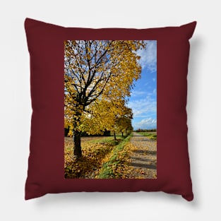 Autumn in Rural North East Italy Pillow