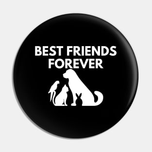 Best Friends Forever Pin