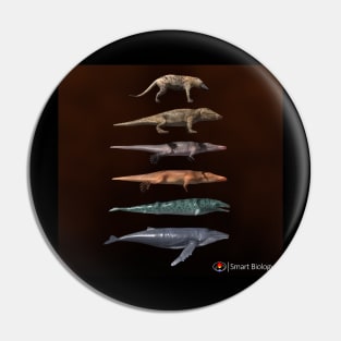 The Evolution of Whales Pin