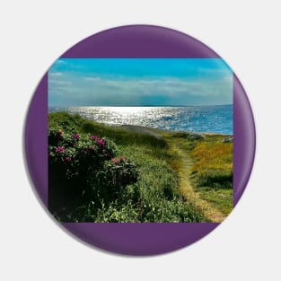 Nova Scotia beach path Pin