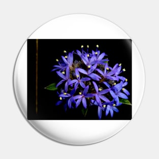 Blue Pincushion Flower Pin