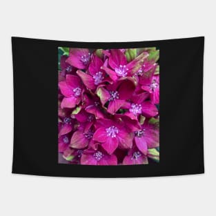 Wild Magenta Hydrangea Tapestry