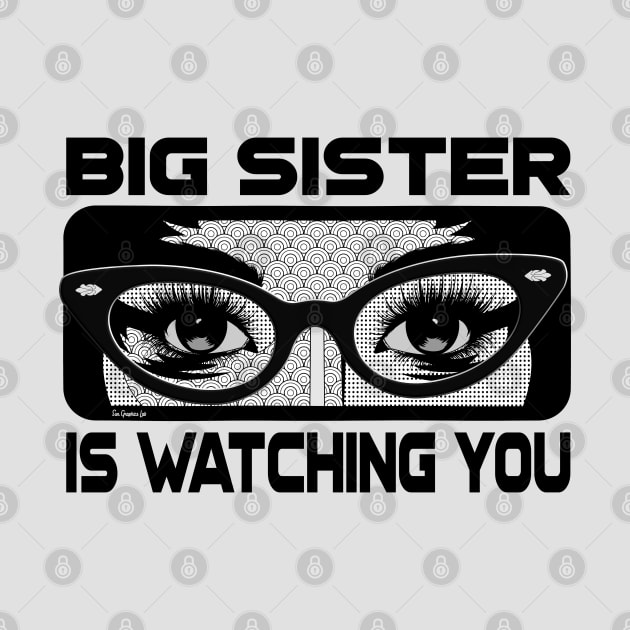 Big Sister is Watching You Comic Art Orwellian (vers 2) by SunGraphicsLab