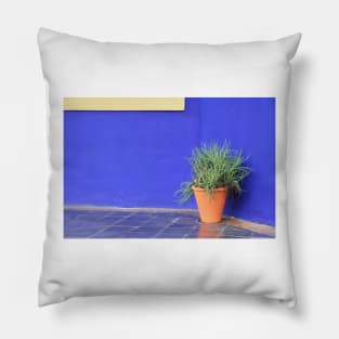 MAJORELLE GARDEN MARRAKECH;POTTY Pillow