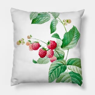 Vintage Raspberry Illustration Pillow