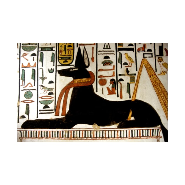 Ancient Egyptian god Anubis (E905/0395) by SciencePhoto