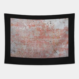 Wall distressed. Old wall texture background. Wall texture Tapestry