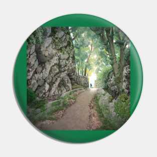 Mountain path Pin