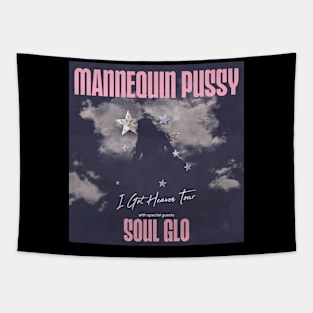 Soul Glo I ot heaven tour Tapestry