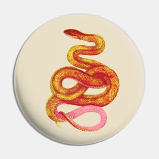 serpent,cobra,reptile,viper,venom,lizard,rattlesnake,king cobra,dragon,hydra,poison,venomous,plumber's snake,pythonidae,pythons,auger,python,squamata,serpentine,worm,big,ophidian,rattlesnakes,medusa,snakebite Pin