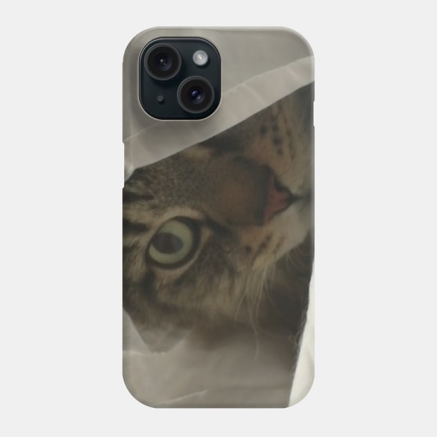 Hiding Phone Case by Volundz