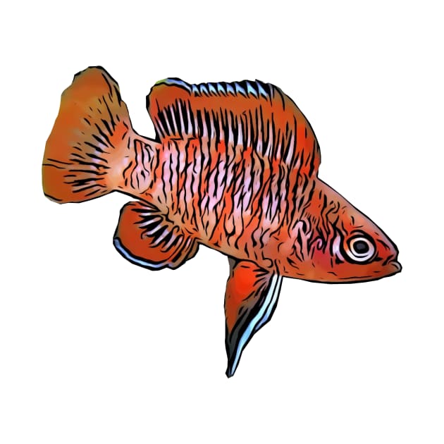 Scarlet Badis by DestructoKitty