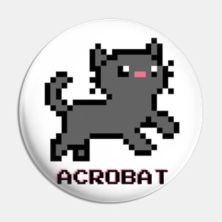 Acrobat Cat - Dark Gray Pin