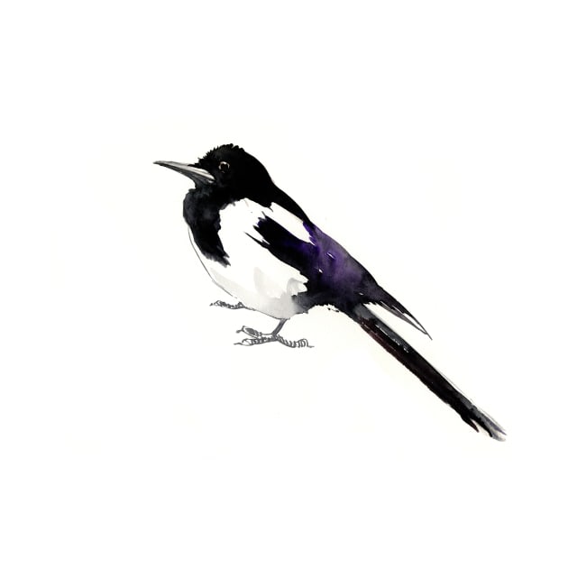 Magpie by surenart