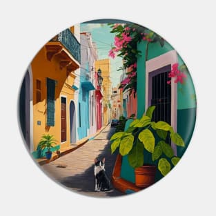 Viejo San Juan Colorful Homes, Plants and Cats Pin