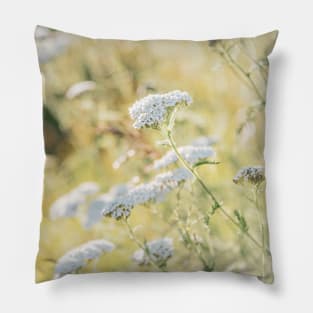 White Yarrow Flowers and Golden Grasses Glowing in Sunshine Pillow