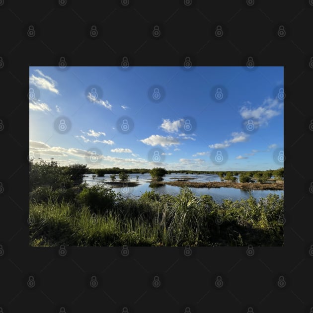 Florida Everglades by Sparkleweather