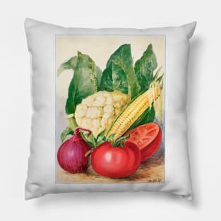 Vegetable watercolor illustration (1915) Pillow