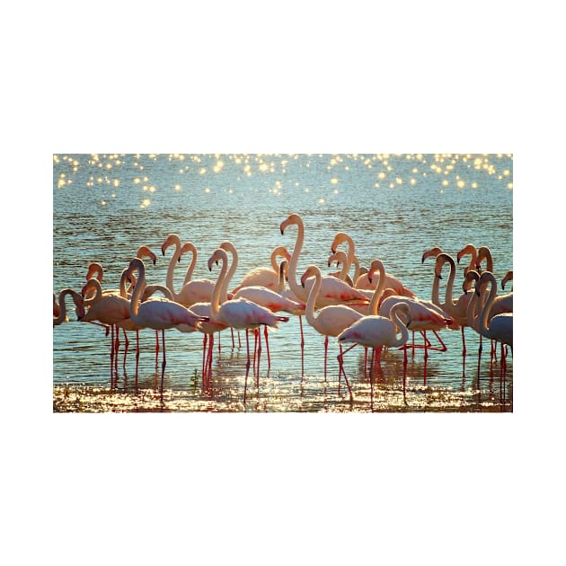 Flamingos by kawaii_shop