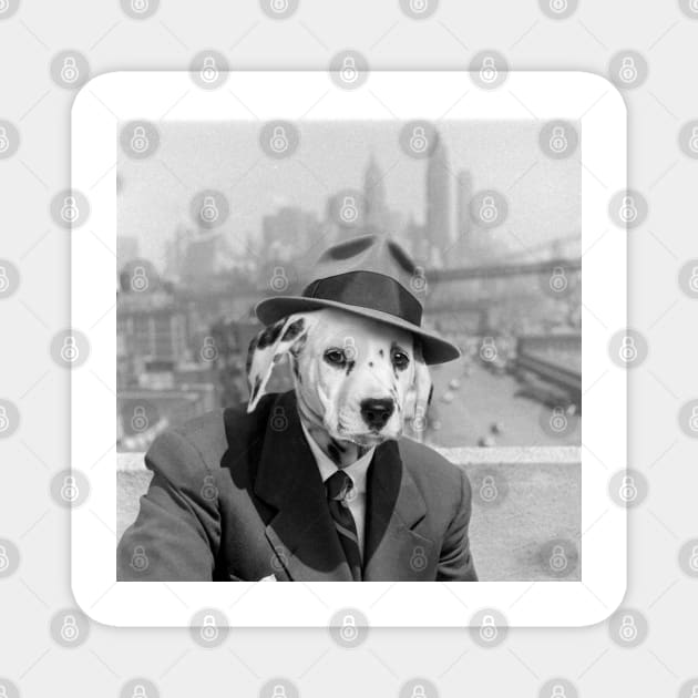 Dalmatian Dog in New York - Print / Home Decor / Wall Art / Poster / Gift / Birthday / Chihuahua Lover Gift / Animal print Canvas Print Magnet by luigitarini