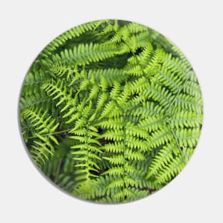 Ferns Pin