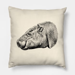 Pygmy hippopotamus Pillow