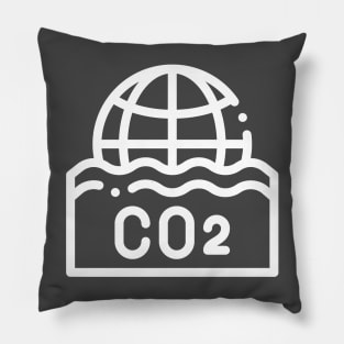Earth Day 2020 Pillow