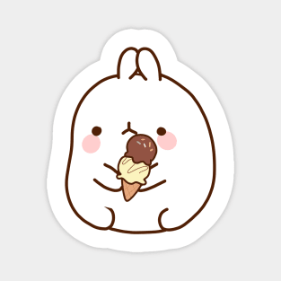 Ice cream Magnet