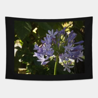 Violet Tapestry