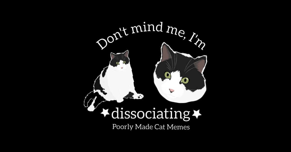 Colonel from Poorly Made Cat Memes dissociating Poorly Made Cat Memes