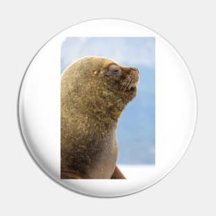 Weddell Seal in Beagle Channel, Ushuaia - Argentina Pin