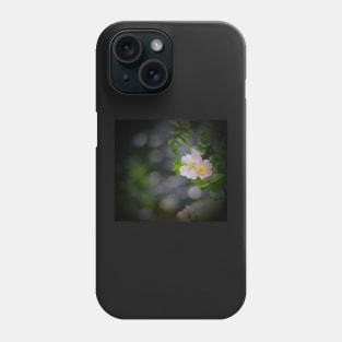 WILD ROSES ARE PEACHY ! Phone Case