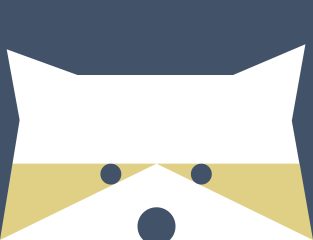 Peek-a-Boo Raccoon in Navy and Gold Magnet