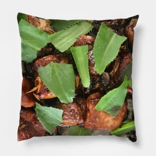 Honey ribs with fresh culantro herb on top Pillow