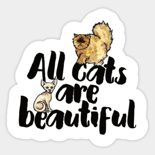 All Cats Are Beautiful Cats Sticker Teepublic