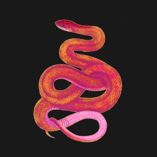 serpent,cobra,reptile,viper,venom,lizard,rattlesnake,king cobra,dragon,hydra,poison,venomous,plumber's snake,pythonidae,pythons,auger,python,squamata,serpentine,worm,big,ophidian,rattlesnakes,medusa,snakebite T-Shirt