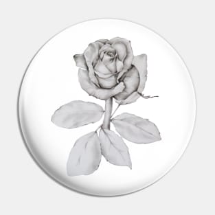 Rose Drawing Pin