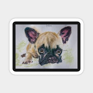 MISA’S ORIGINAL ART “AWESOME PETS” Magnet