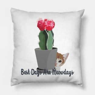 Best Days Are Meowdays Pillow