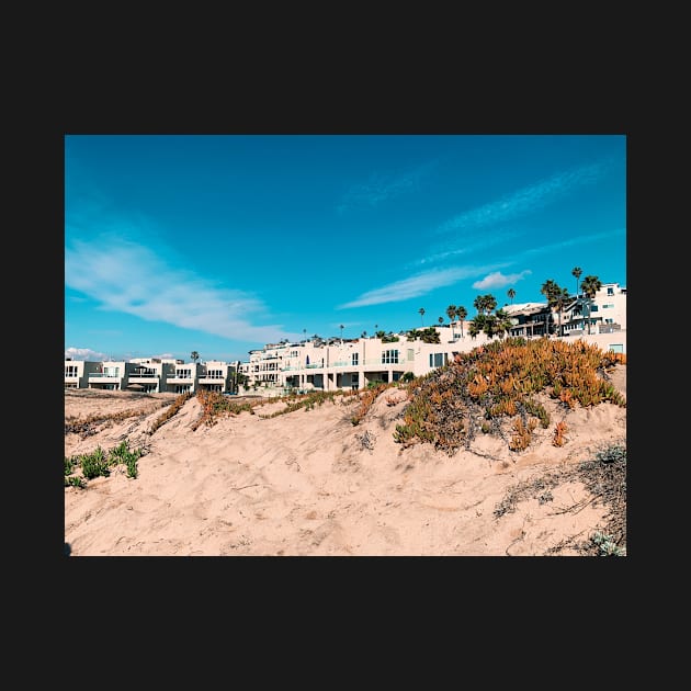 Modernist Apartments Overlooking Sand Dunes by offdutyplaces