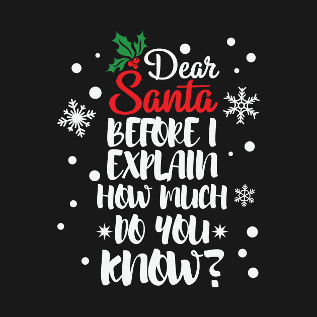 Disover Dear Santa Before I Explain How Much Do You Know - Dear Santa Before I Explain - T-Shirt