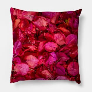 Pink and Purple Petals Pillow